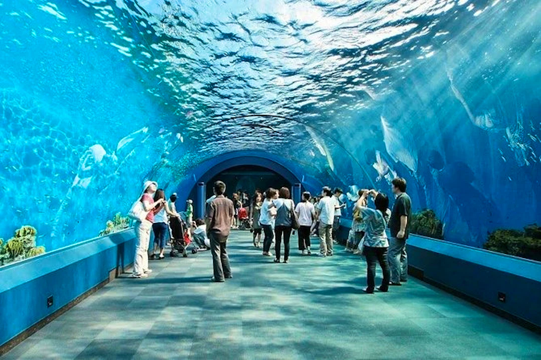 Combo: Underwater World Pattaya and Pattaya Floating Market with Rowing Admission Tickets